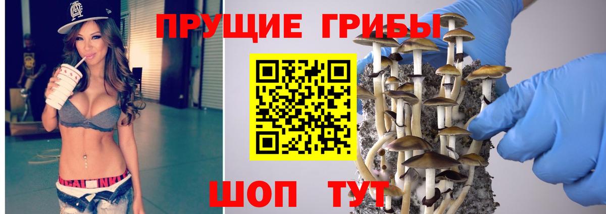 Галлюциногенные грибы мицелий Одинцово